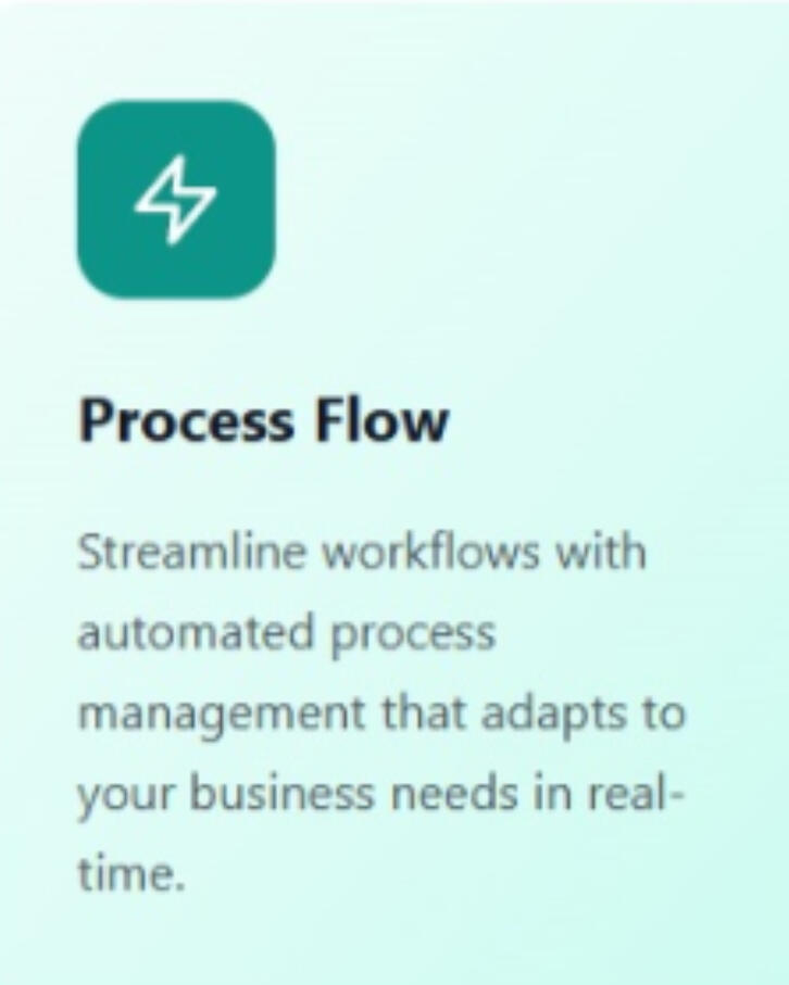 Process Flow
